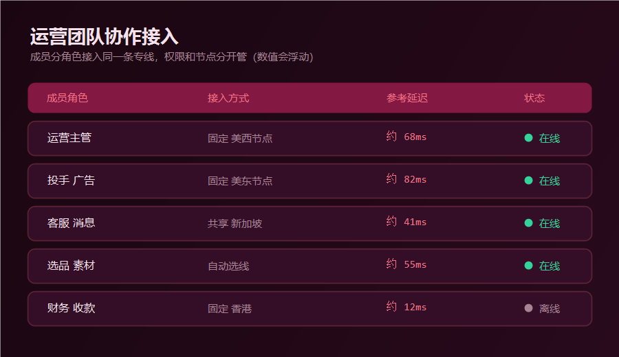 tk跨境电商网络运营团队协作接入表，成员分角色接入专线并显示节点和参考延迟